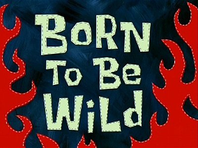 Born To Be Wild (The Wild Ones) (2007) Season 4 Episode 78A Production